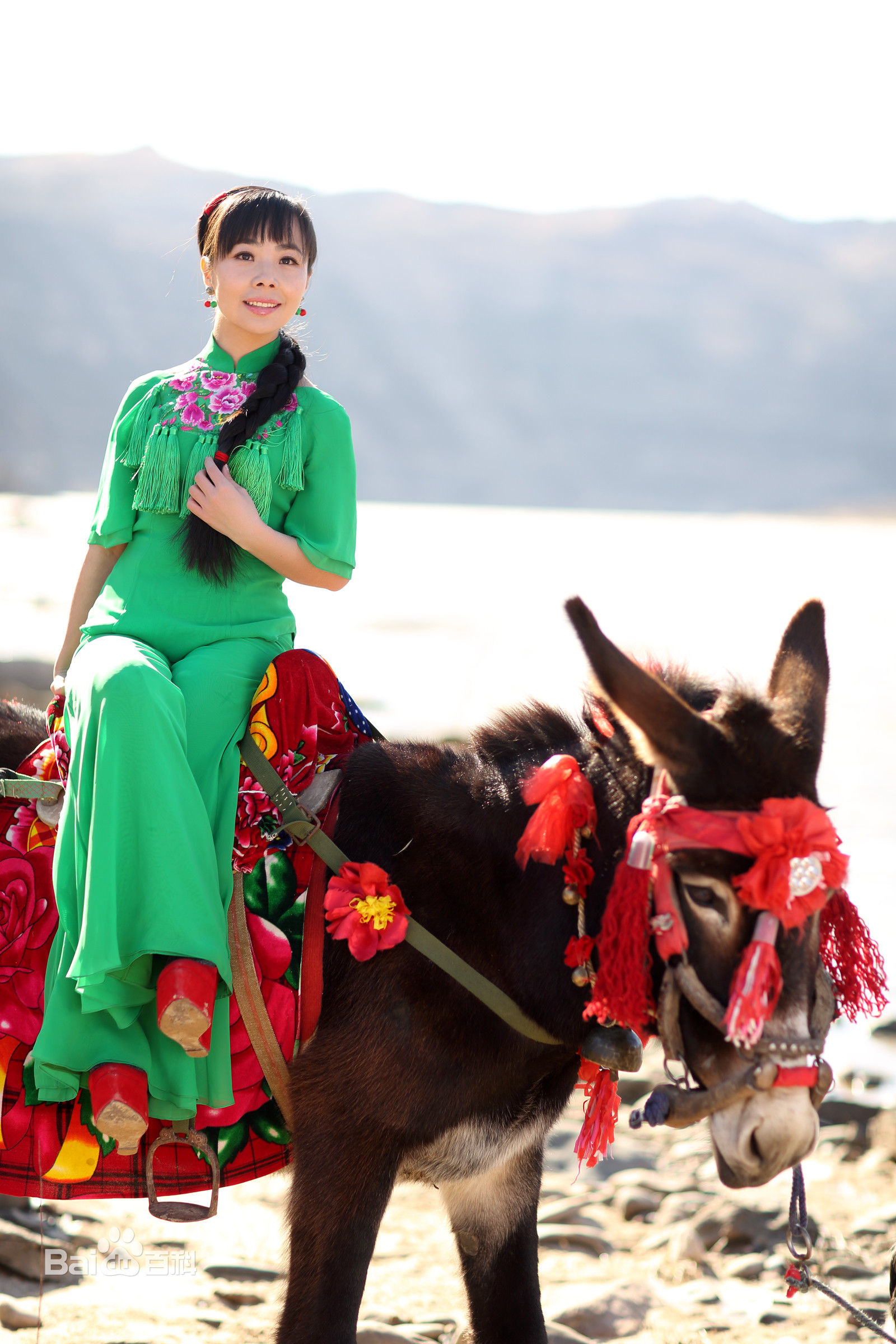 王二妮最全集壁纸