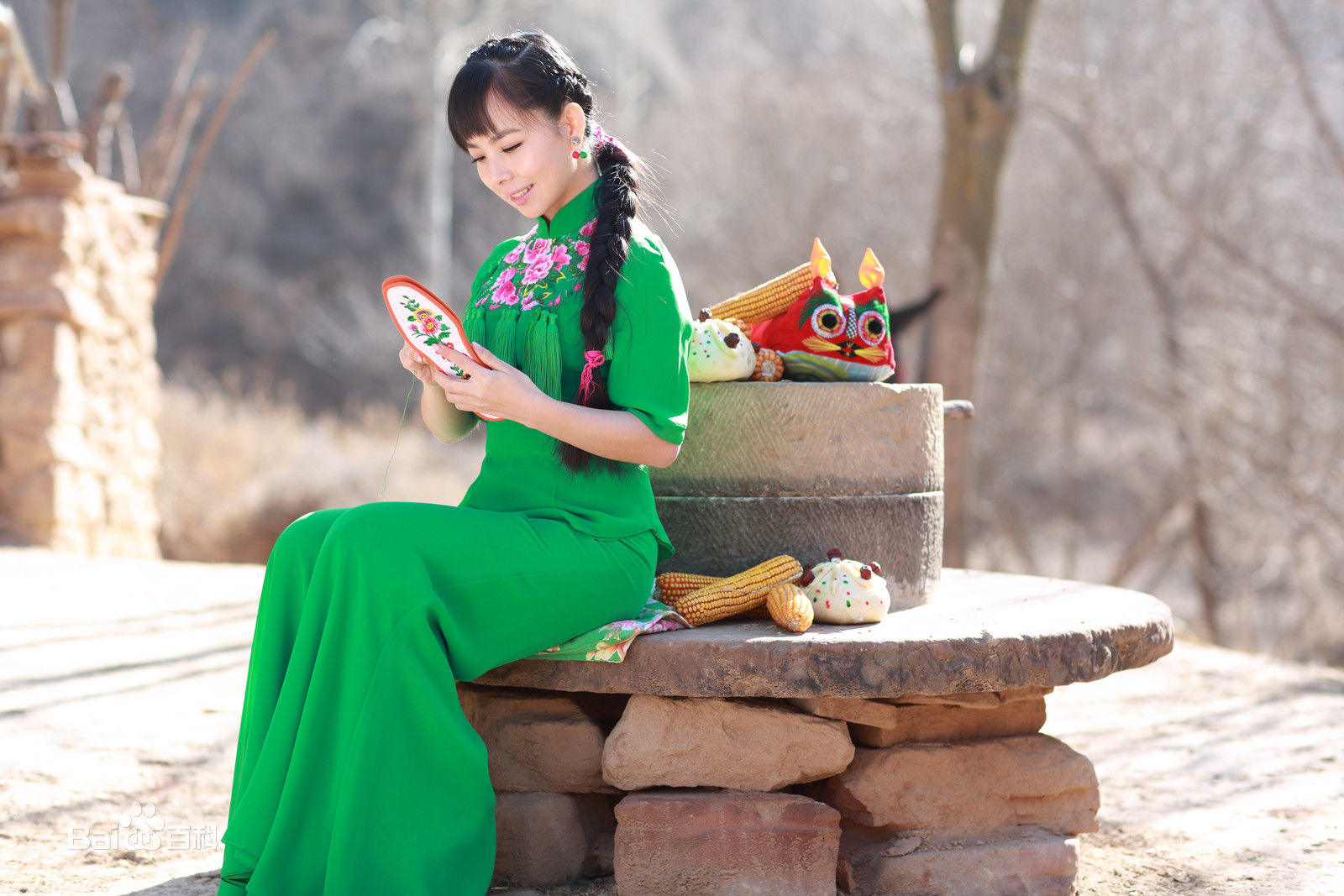 王二妮最全集壁纸