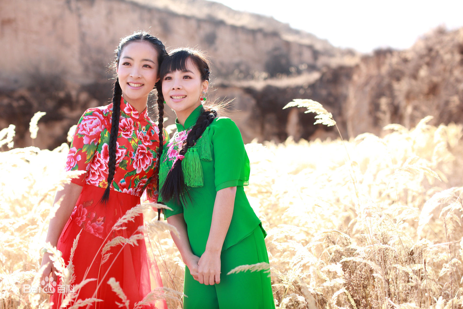 王二妮最全集壁纸