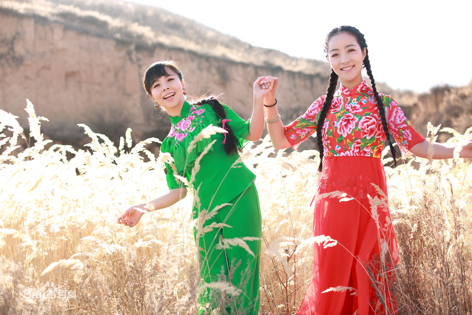 王二妮最全集壁纸