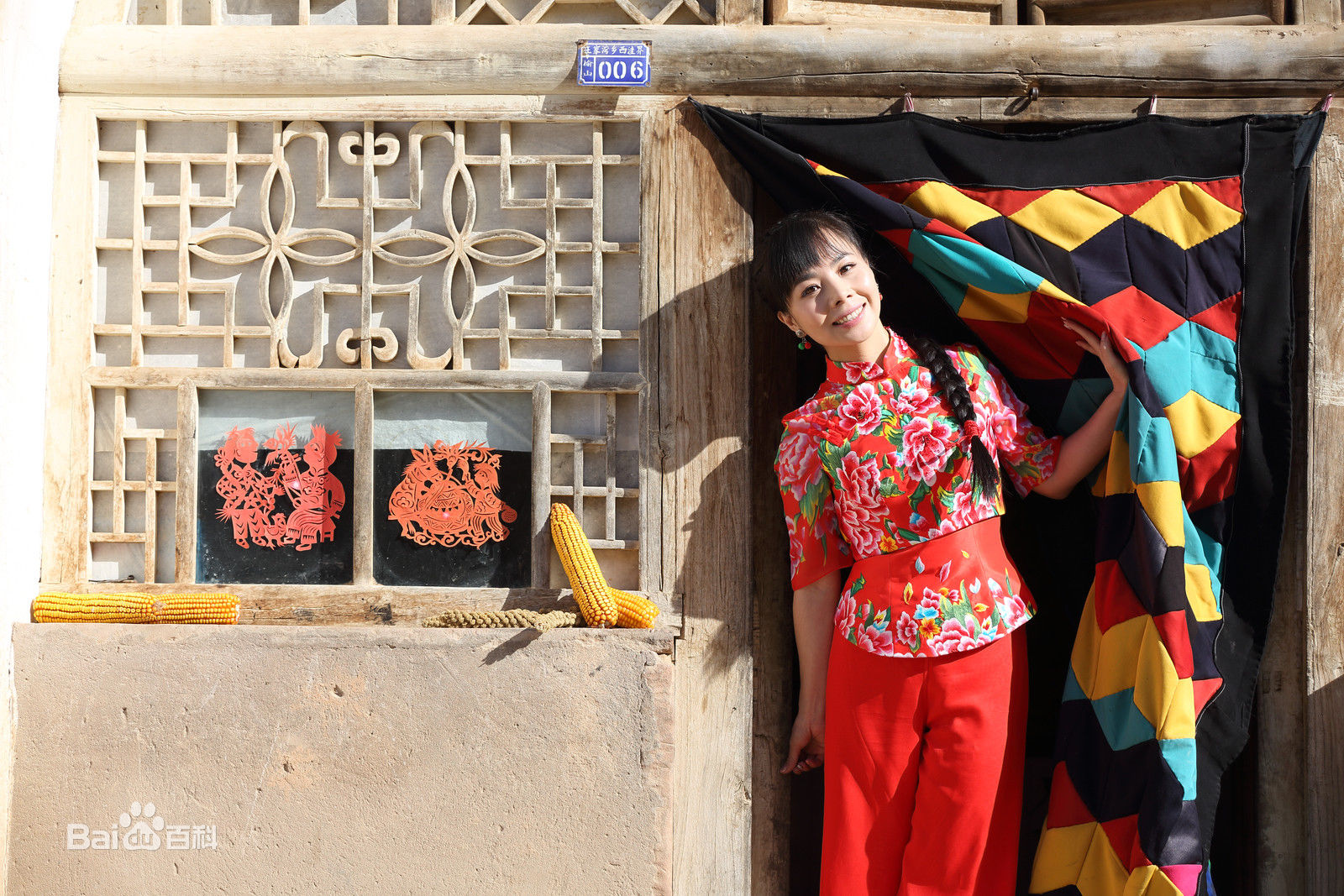 王二妮最全集壁纸