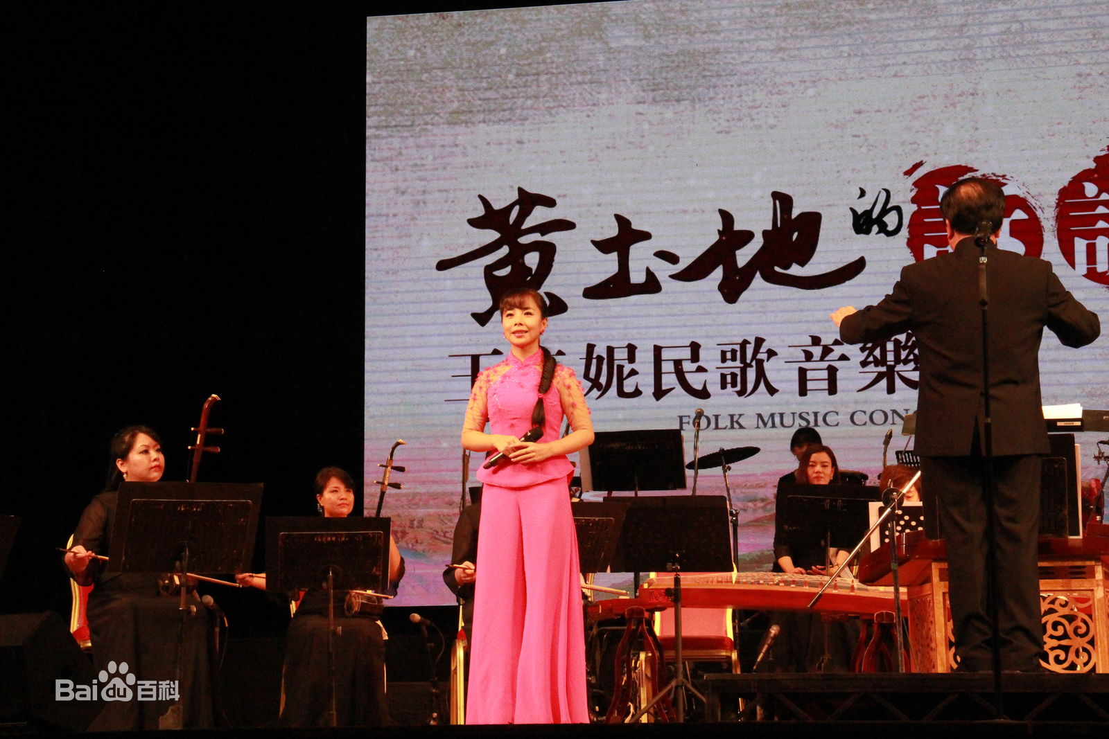 王二妮演出照壁纸壁纸