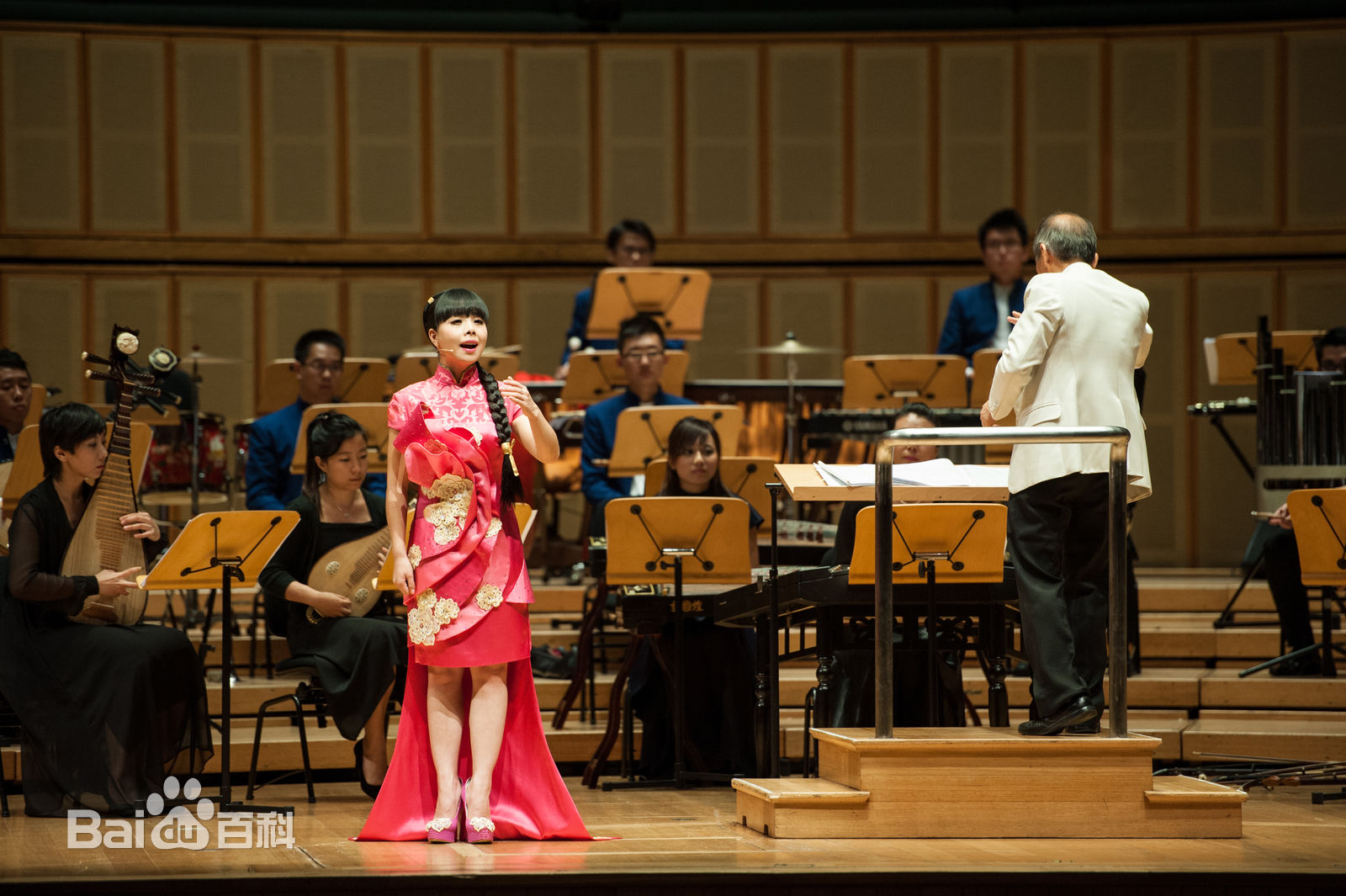 王二妮演出照壁纸壁纸