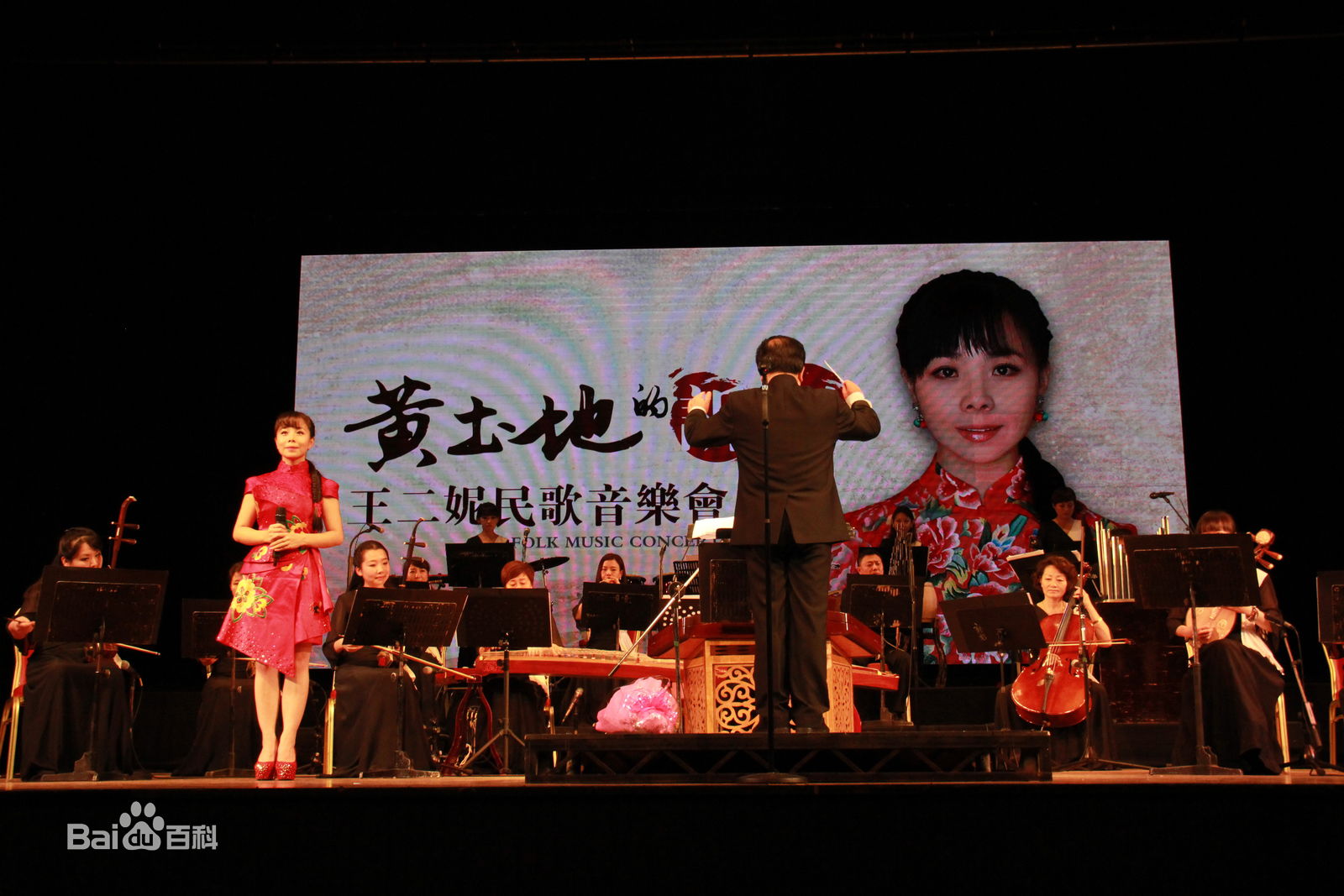 王二妮演出照壁纸壁纸