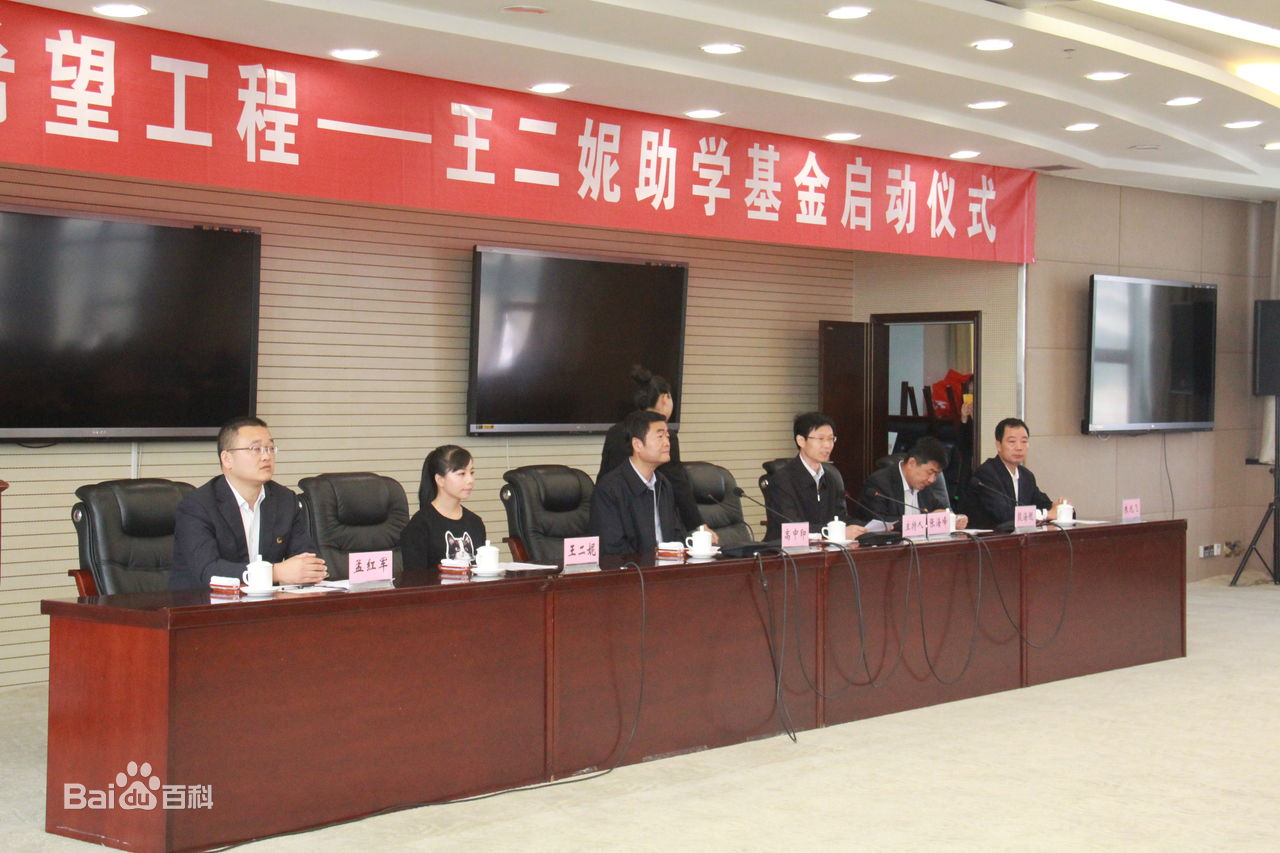 王二妮社会活动壁纸壁纸