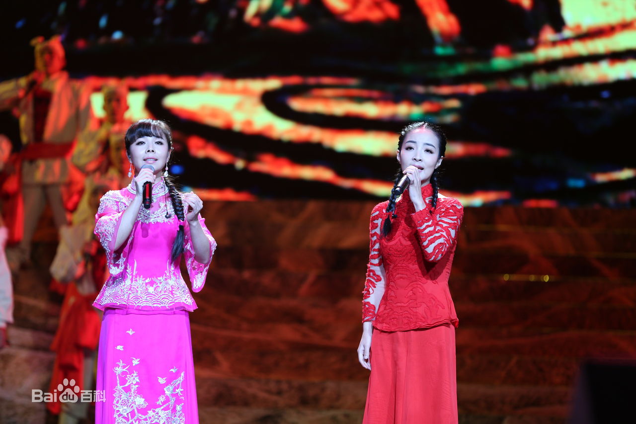 王二妮人民大会堂演唱会前后照片