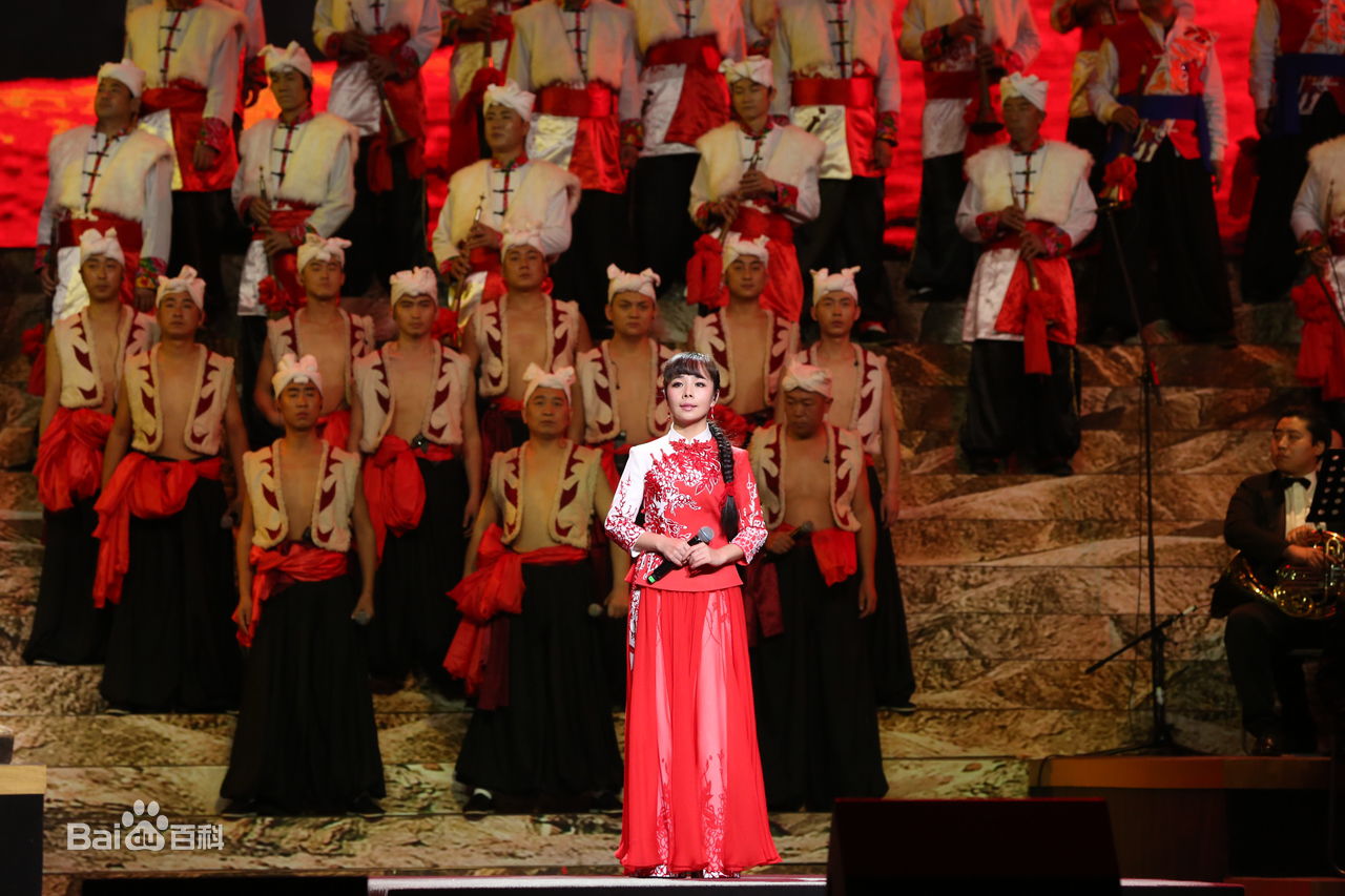 王二妮人民大会堂演唱会前后照片