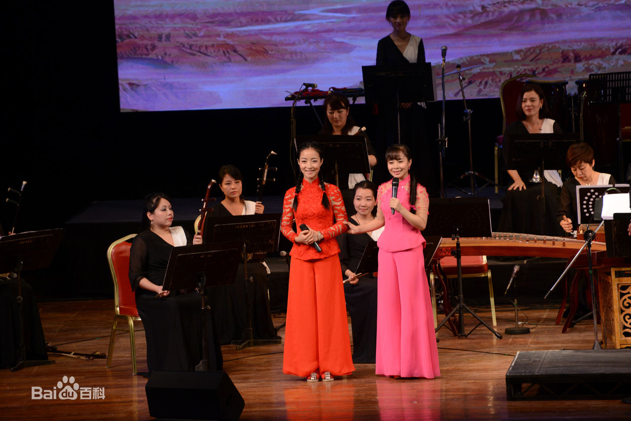 王二妮人民大会堂演唱会前后照片