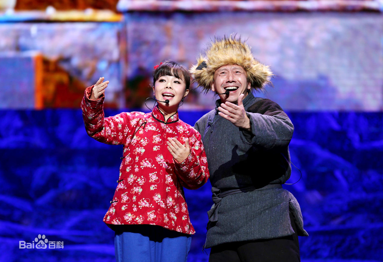 王二妮人民大会堂演唱会前后照片