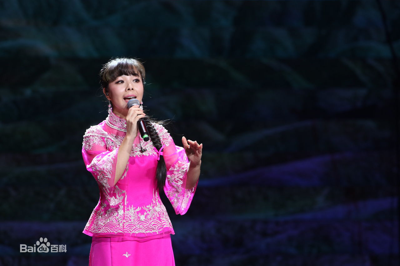 王二妮人民大会堂演唱会前后照片