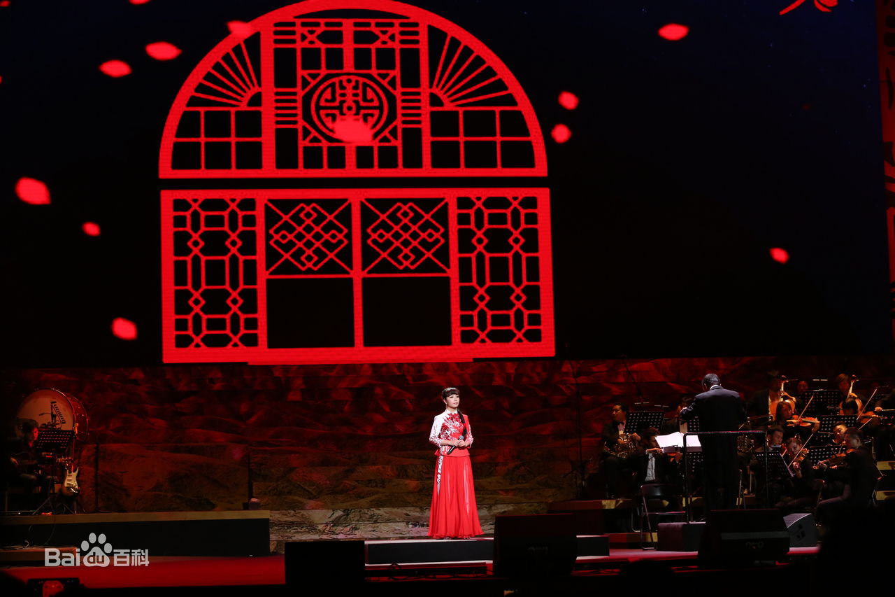 王二妮人民大会堂演唱会前后照片