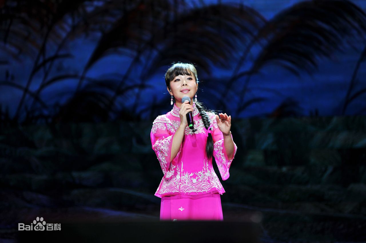 王二妮人民大会堂演唱会前后照片