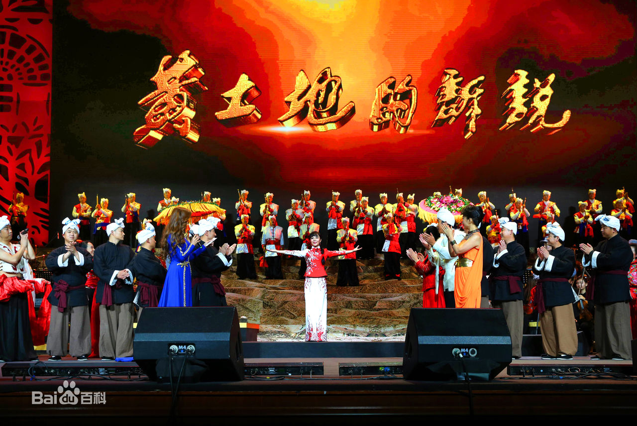 王二妮人民大会堂演唱会前后照片