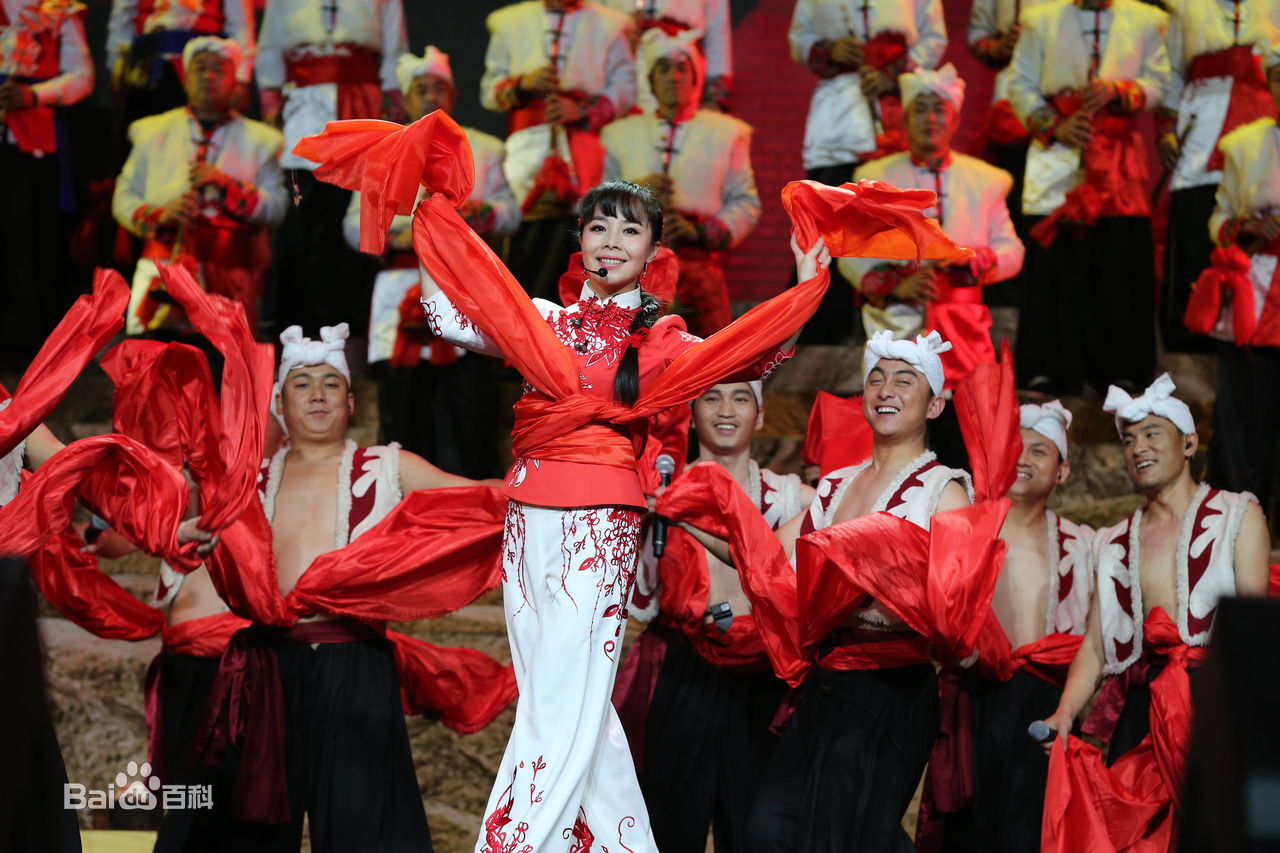 王二妮人民大会堂演唱会前后照片