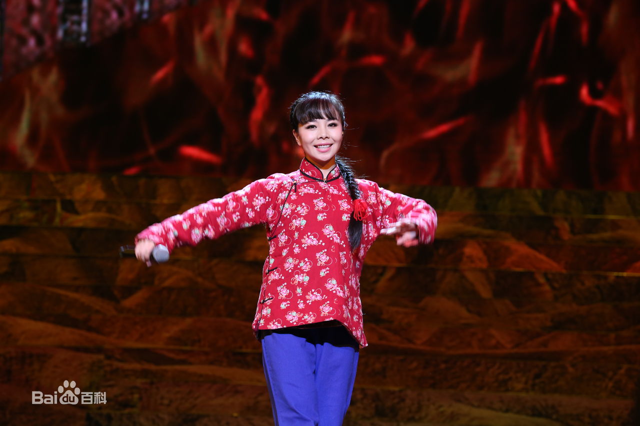 王二妮人民大会堂演唱会前后照片