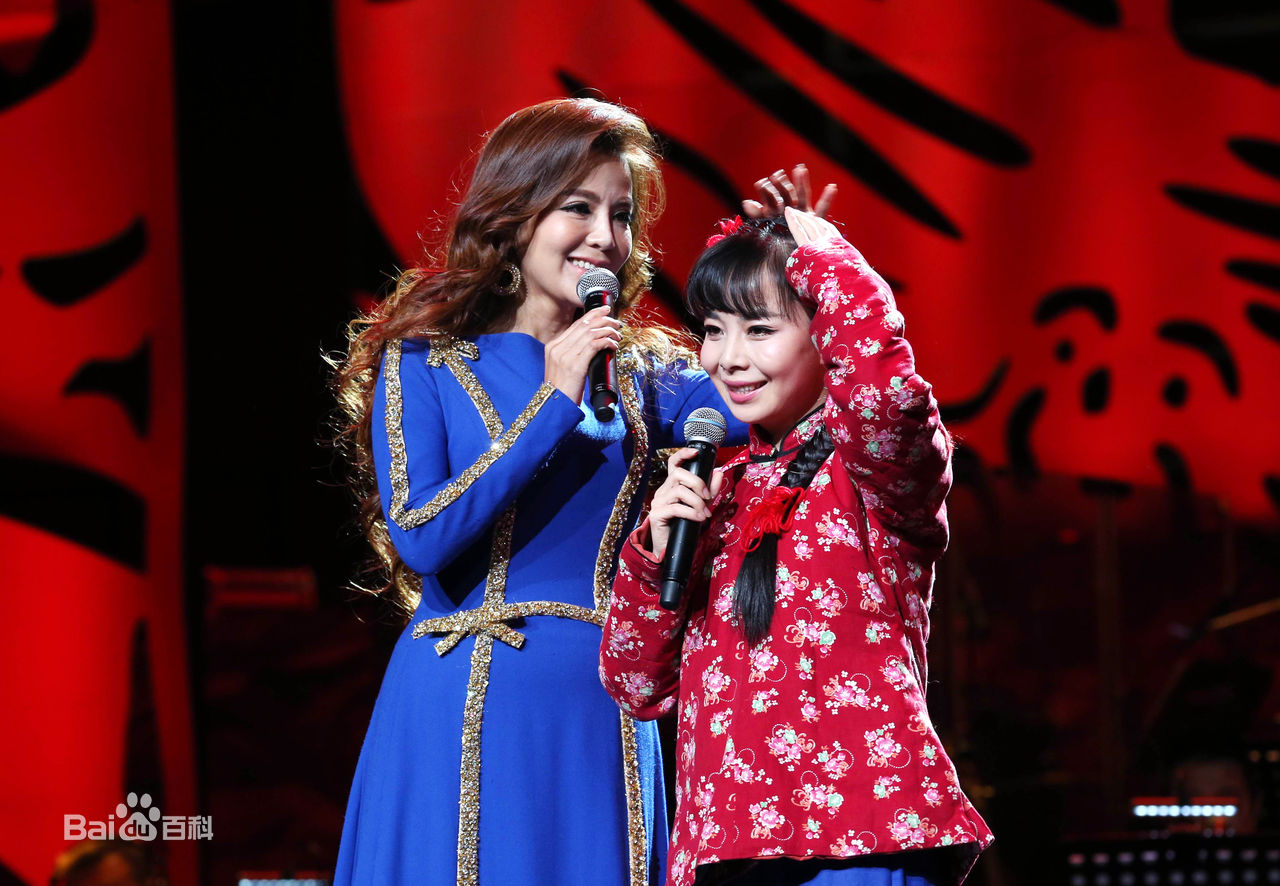 王二妮人民大会堂演唱会前后照片