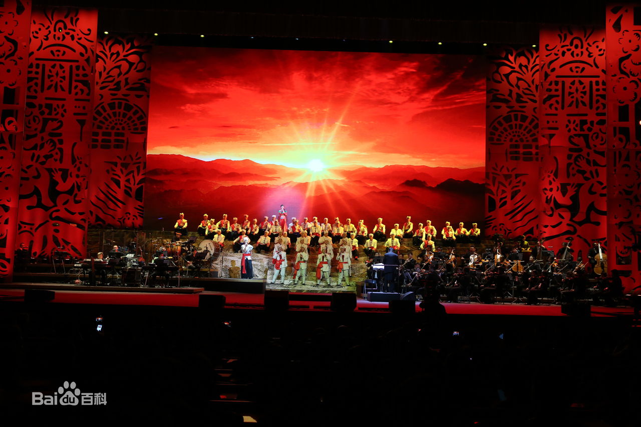 王二妮人民大会堂演唱会前后照片