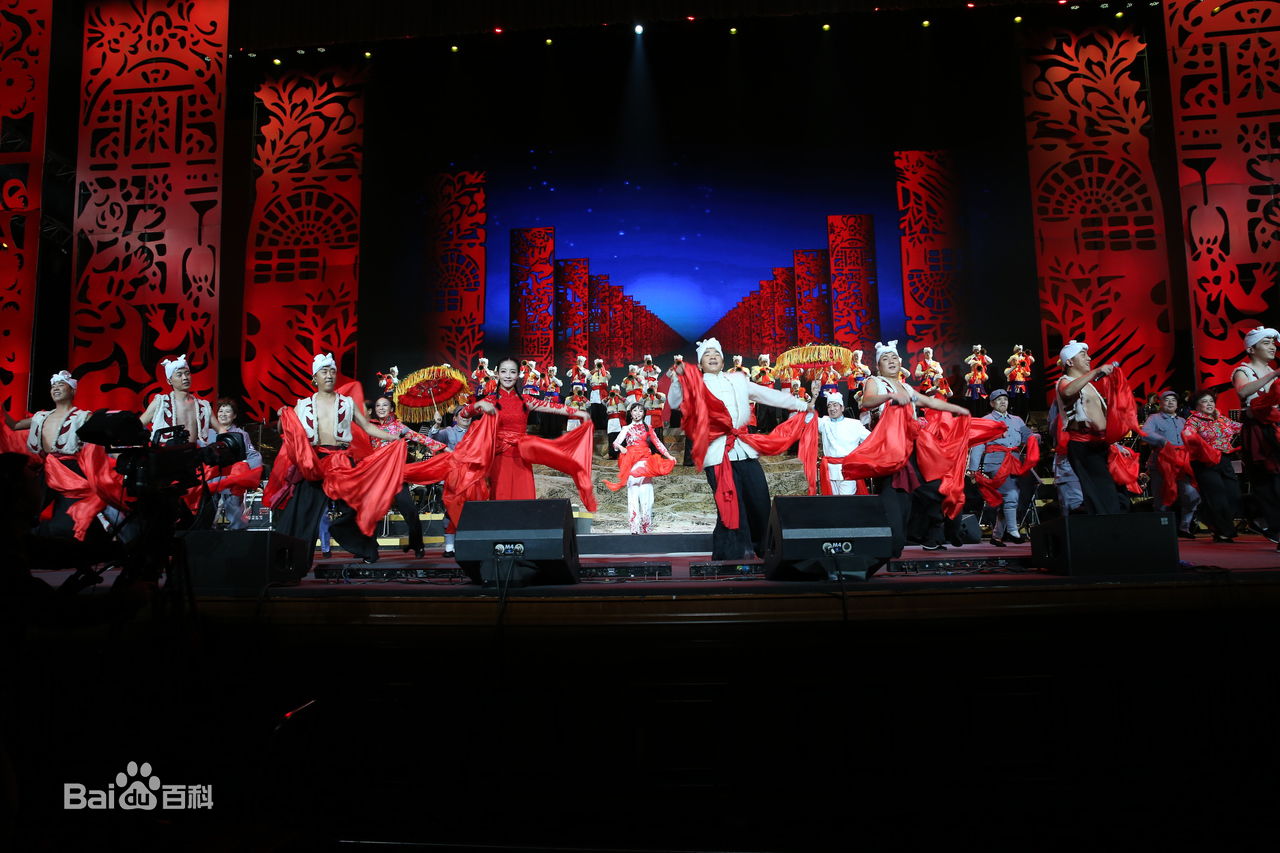 王二妮人民大会堂演唱会前后照片