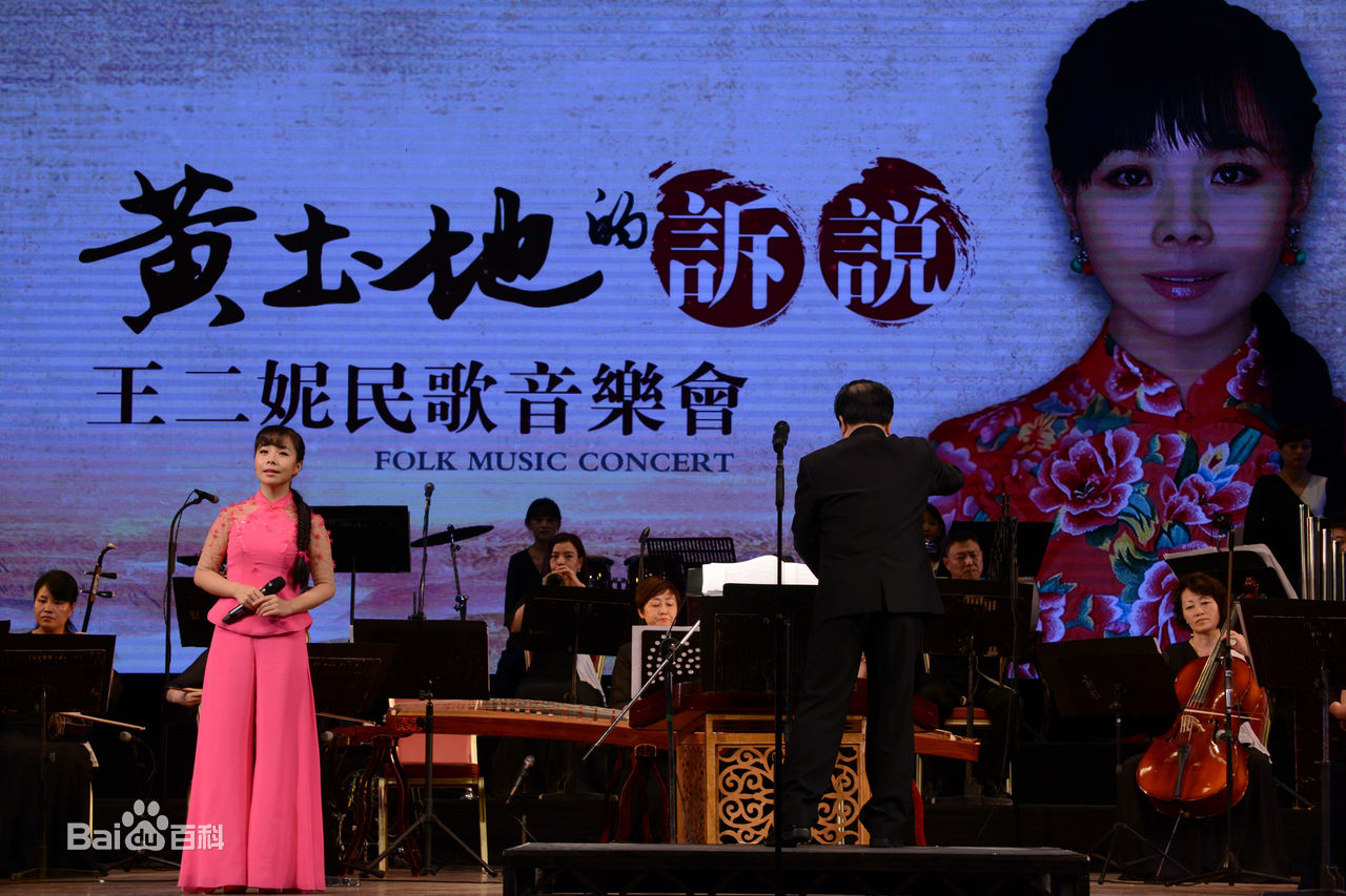 王二妮人民大会堂演唱会前后照片