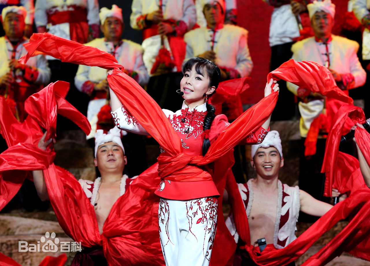 王二妮人民大会堂演唱会前后照片