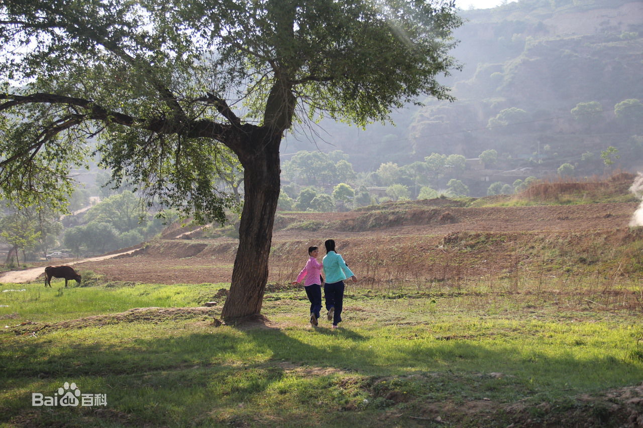 王二妮参演MV壁纸壁纸