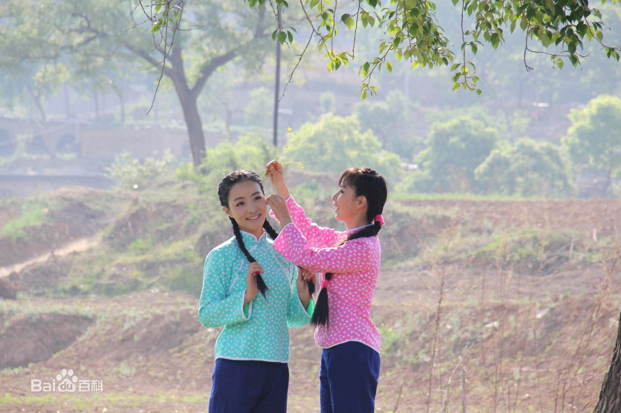 王二妮参演MV壁纸壁纸