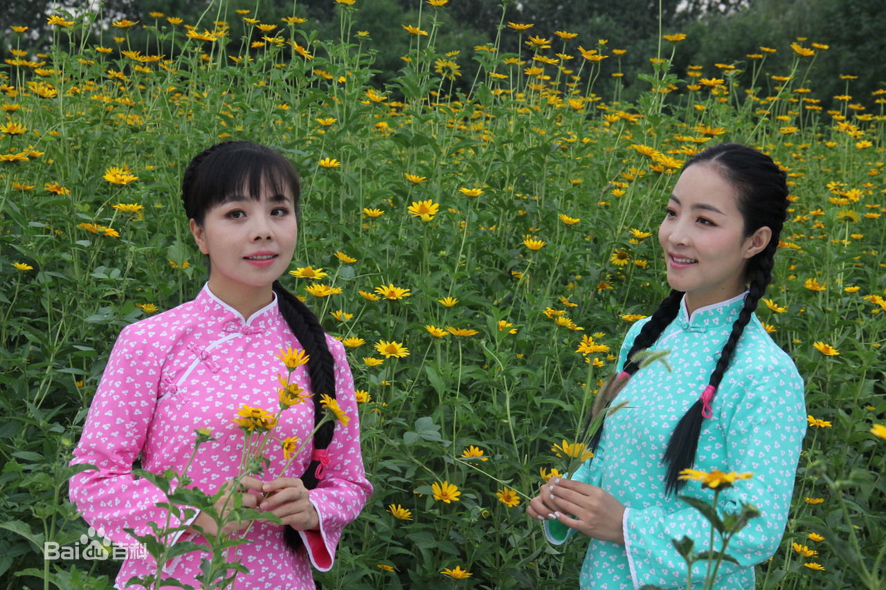 王二妮参演MV壁纸壁纸