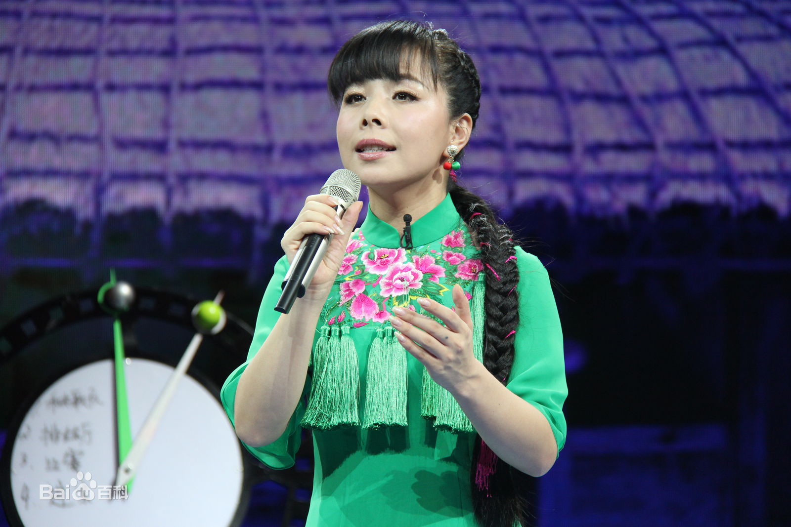 王二妮艺术人生图册