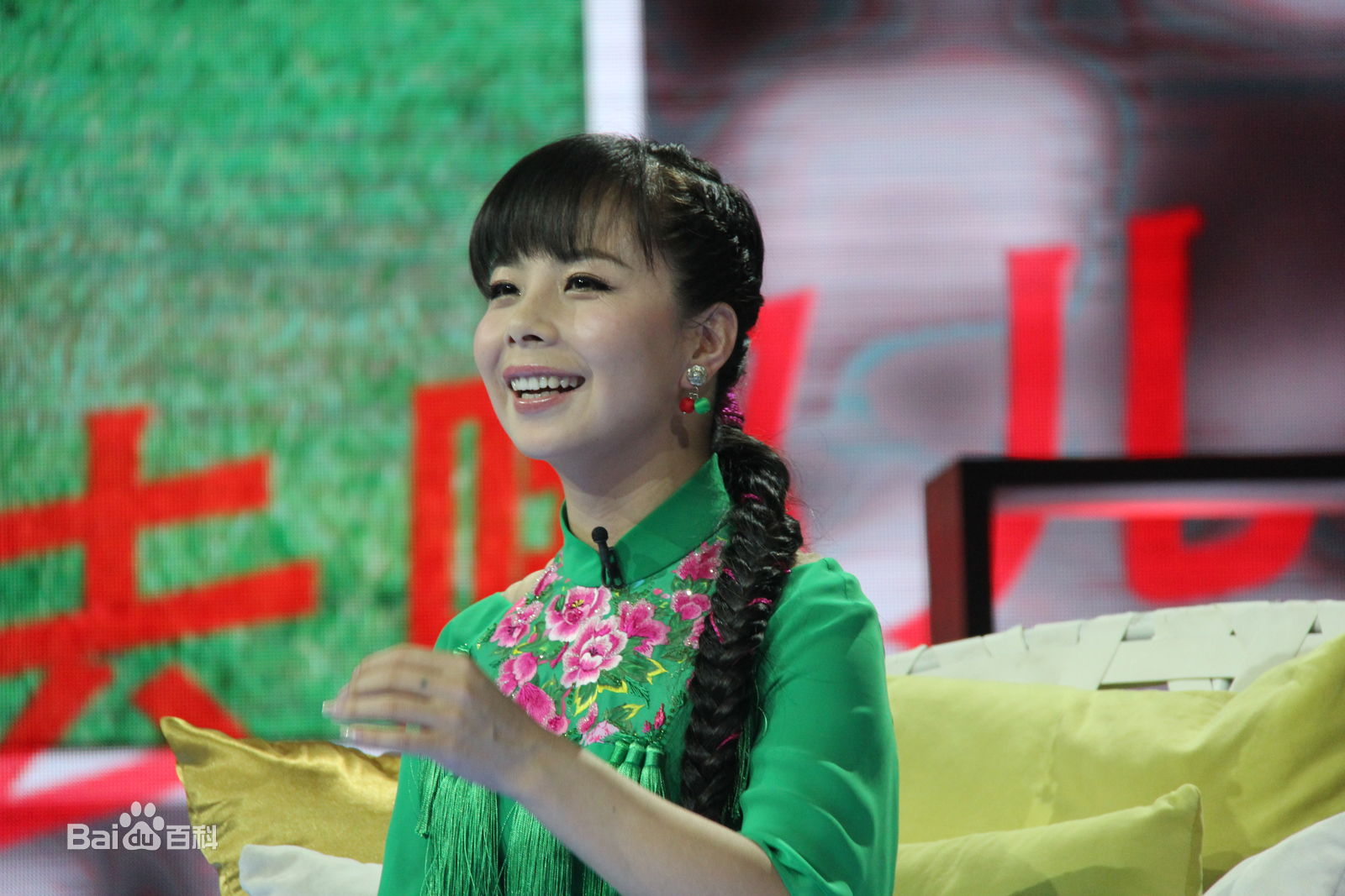 王二妮艺术人生图册