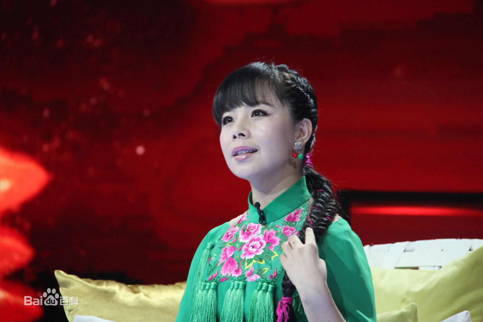 王二妮艺术人生图册