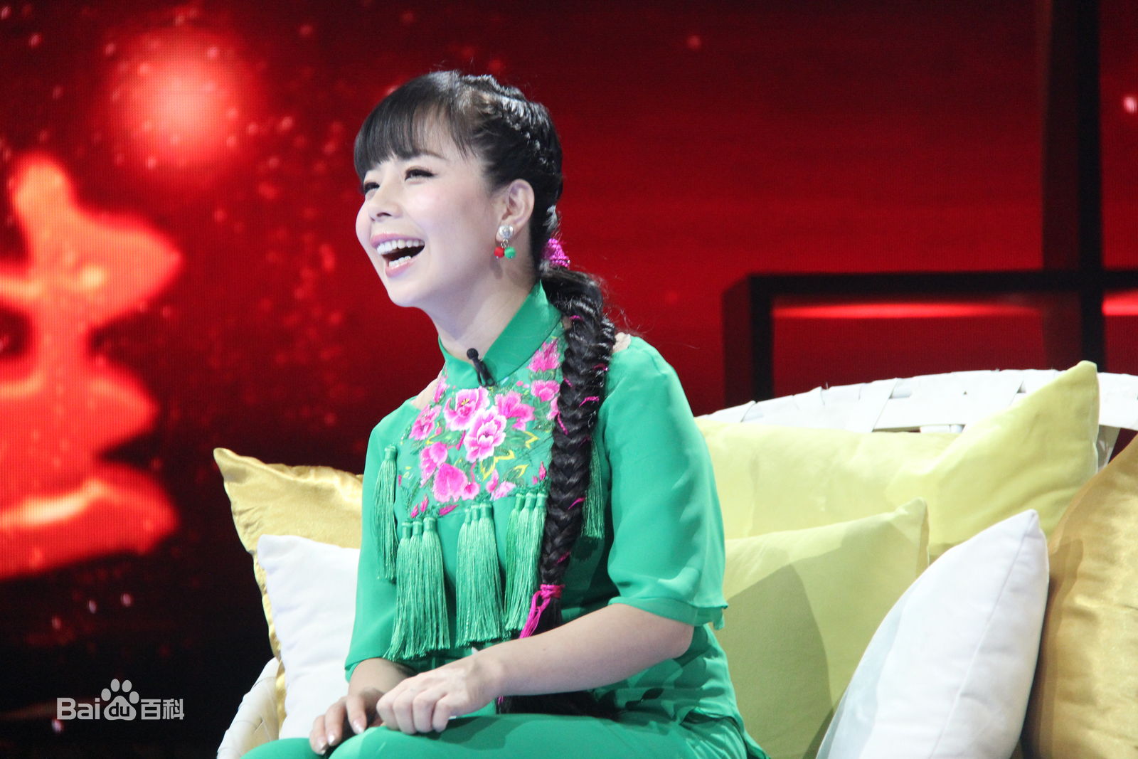 王二妮艺术人生图册