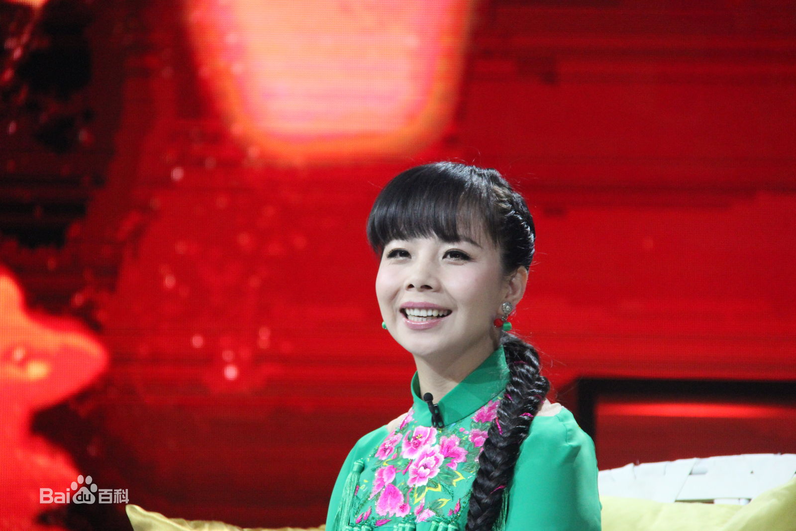 王二妮艺术人生图册