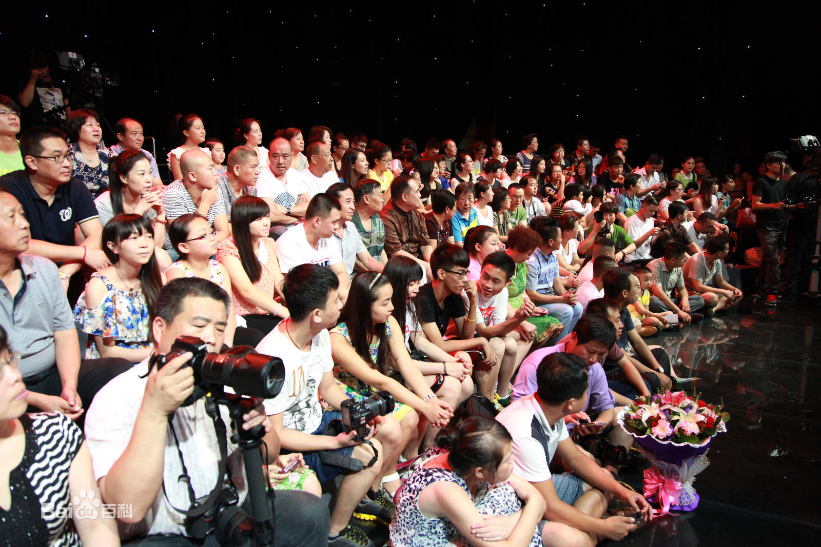 王二妮艺术人生图册