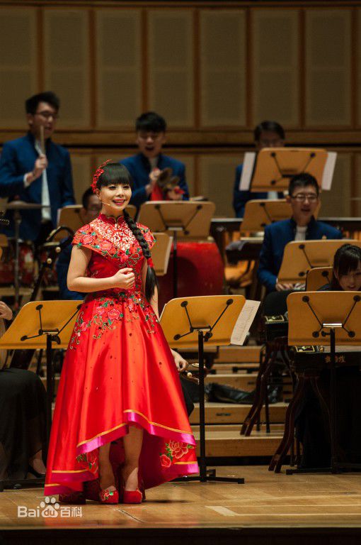 王二妮新加坡演唱会前后照片