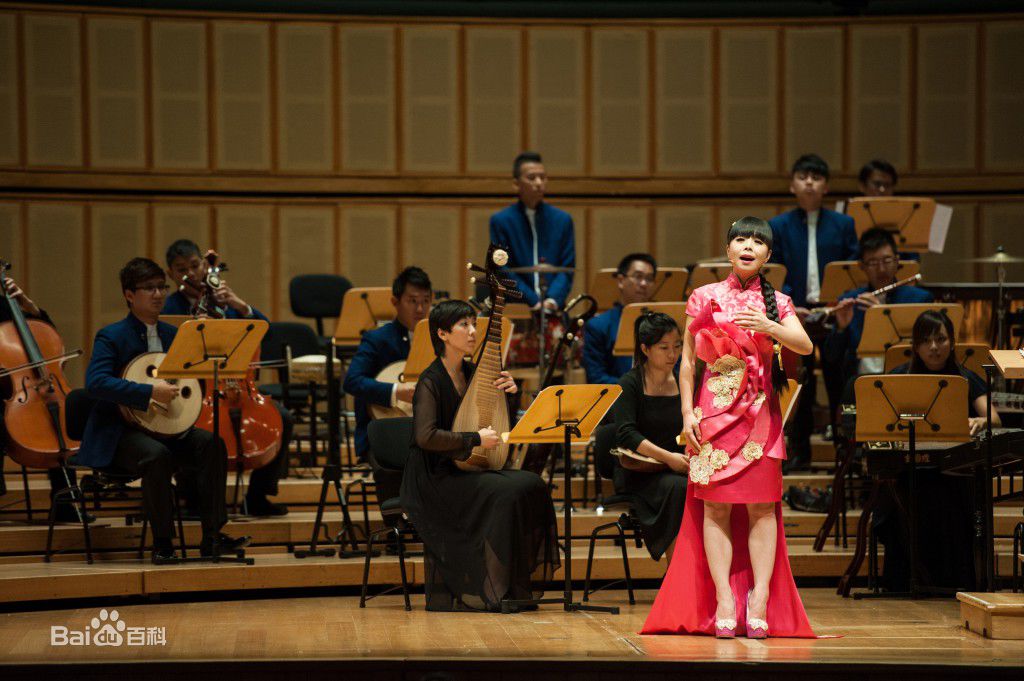 王二妮新加坡演唱会前后照片