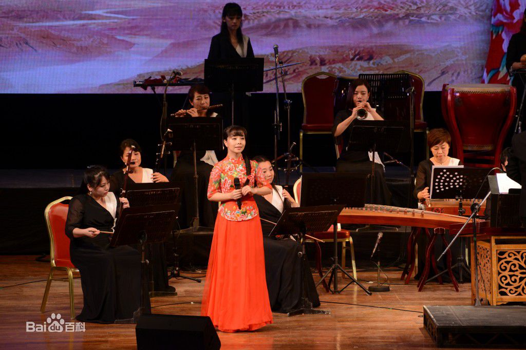 王二妮香港演唱会图册