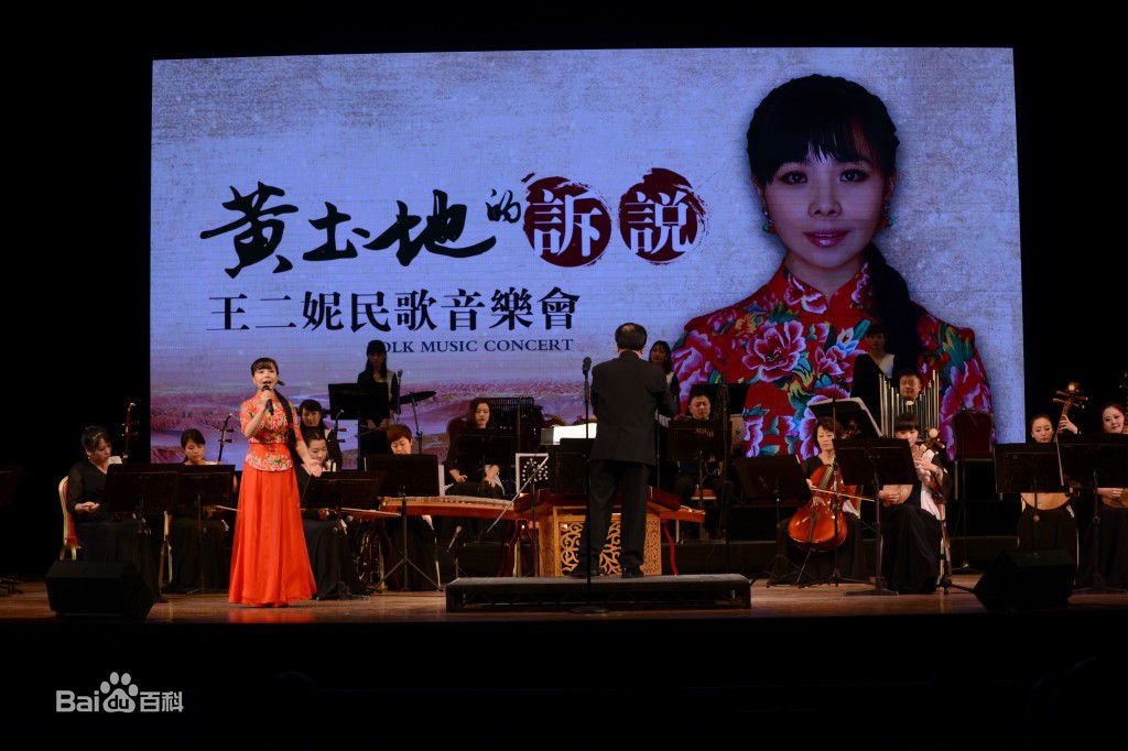 王二妮香港演唱会图册