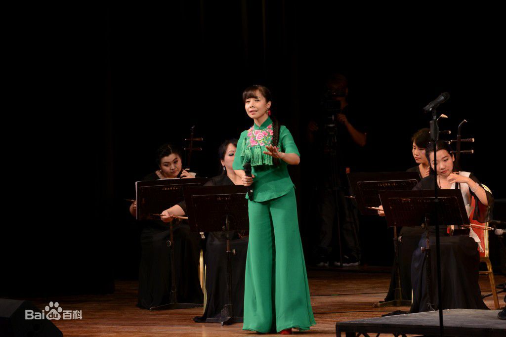 王二妮香港演唱会图册