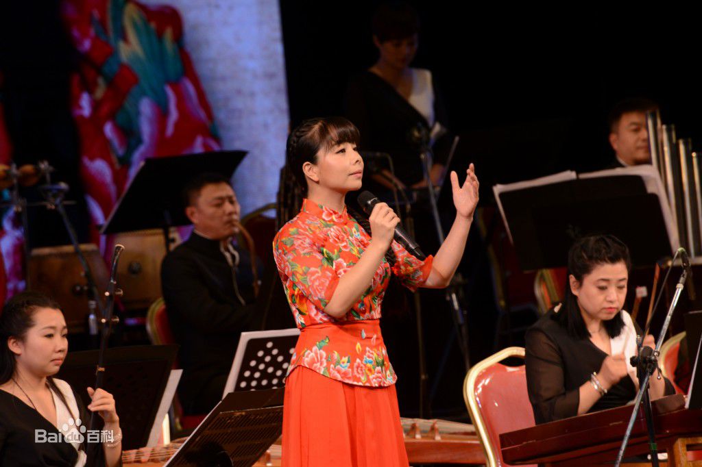 王二妮香港演唱会图册