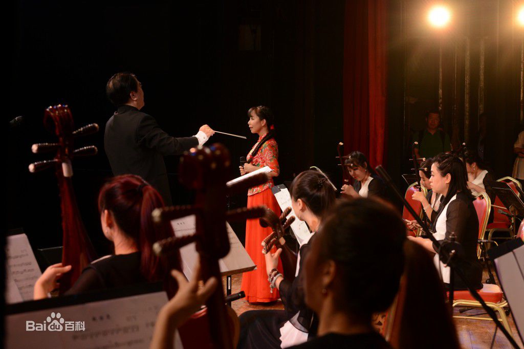 王二妮香港演唱会图册