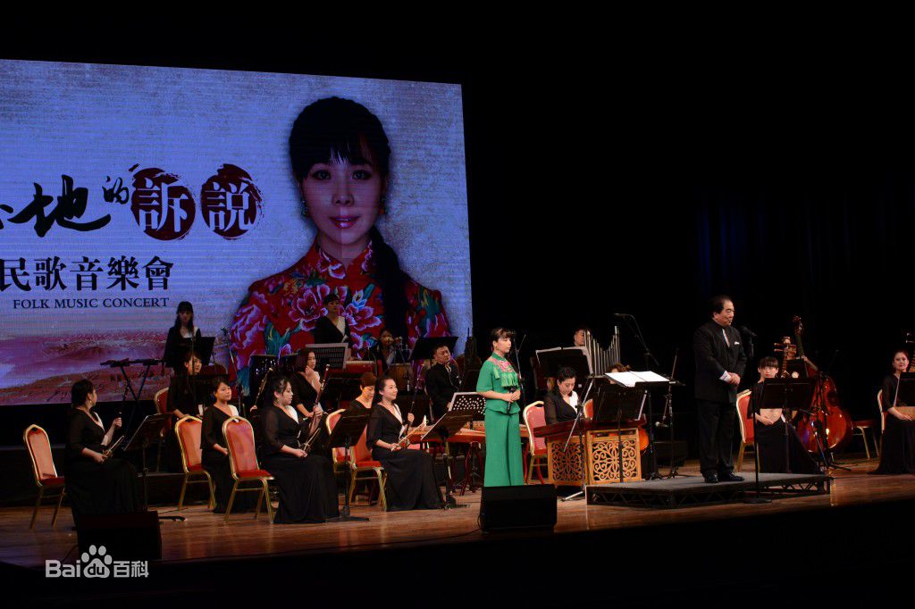 王二妮香港演唱会图册