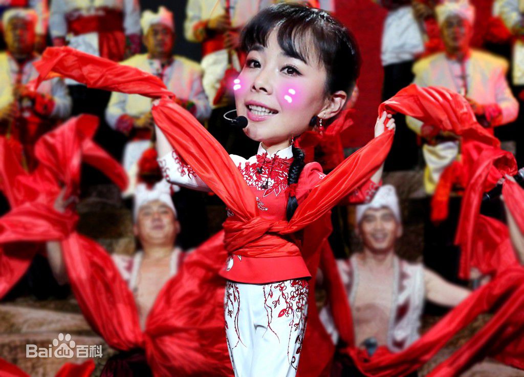 精选王二妮在人民大会堂演唱会《黄土地的诉说》中的图册