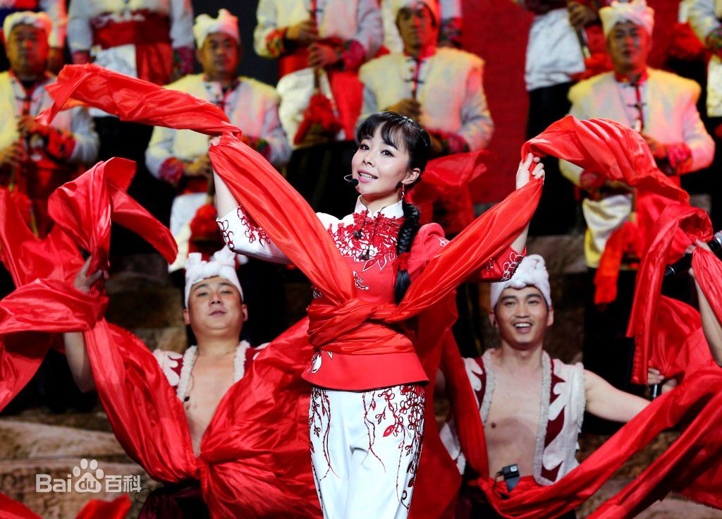 精选王二妮在人民大会堂演唱会《黄土地的诉说》中的图册