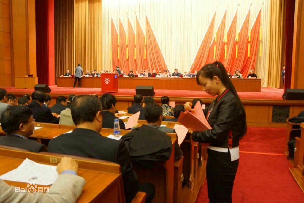 王二妮文代会壁纸壁纸