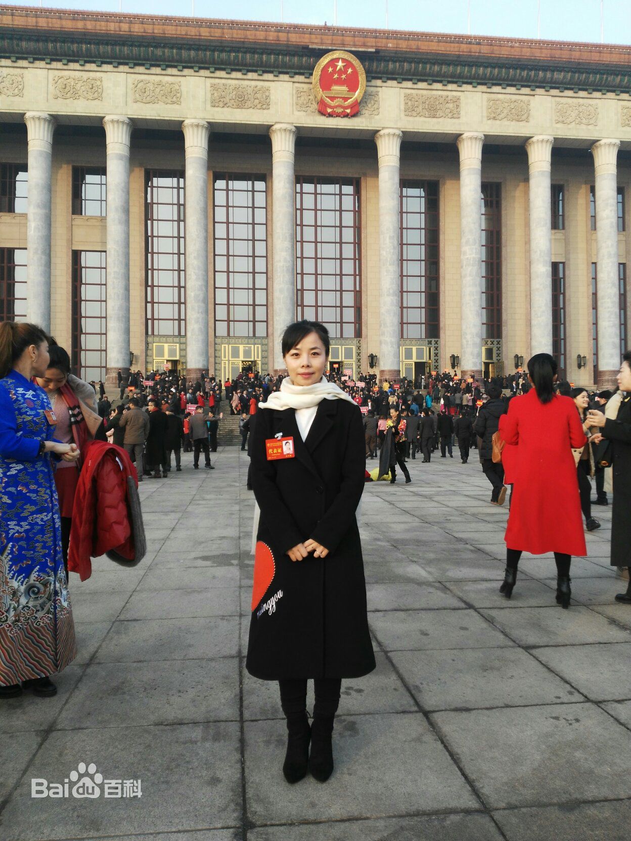 王二妮文代会壁纸壁纸