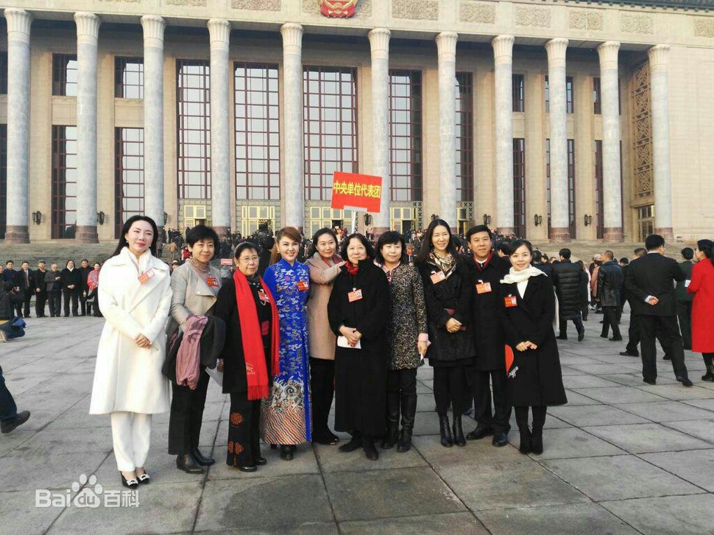 王二妮文代会壁纸壁纸