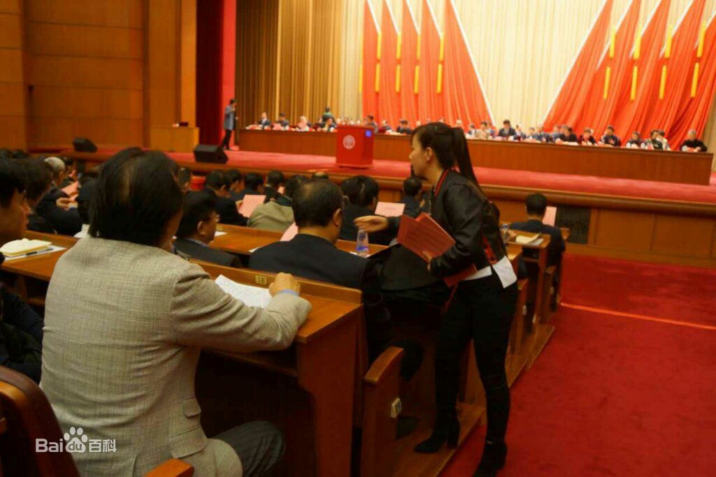 王二妮文代会壁纸壁纸