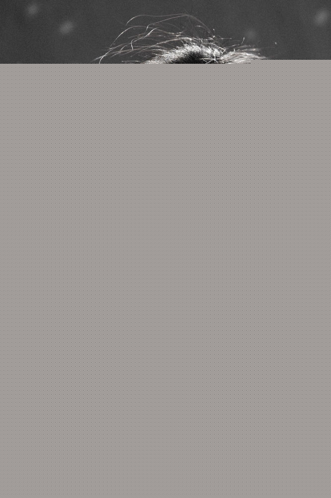 湛雅书最全剧照