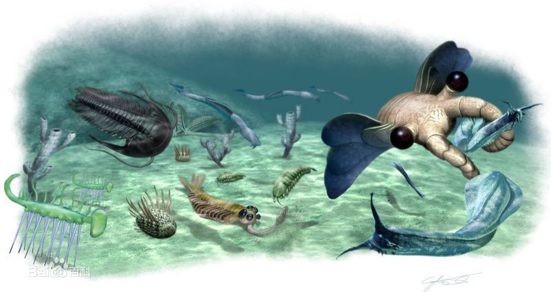 最全林雨宣（原名：林映彤）(Crystal Lin)素颜照