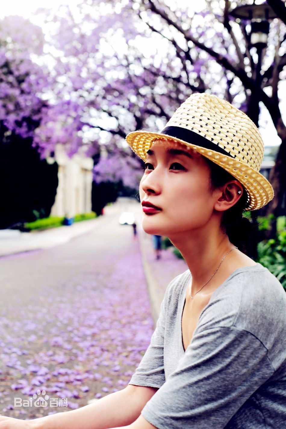 汪洋最全最新壁纸